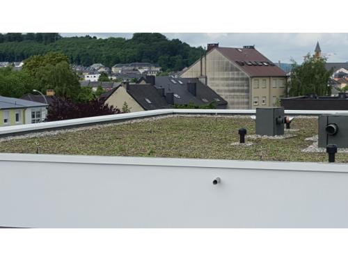 Toiture végétale